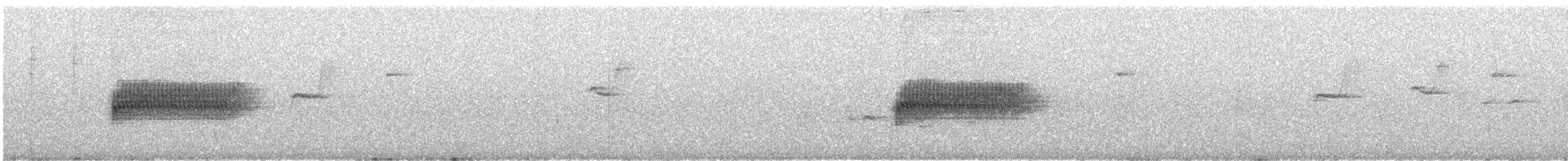 Тауї плямистий - ML27371071