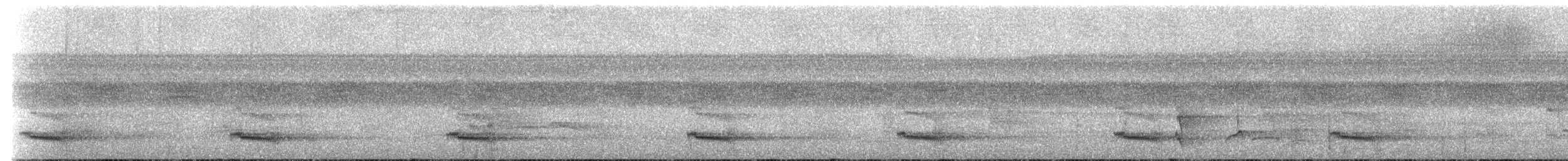 Channel-billed Toucan (Channel-billed) - ML273739