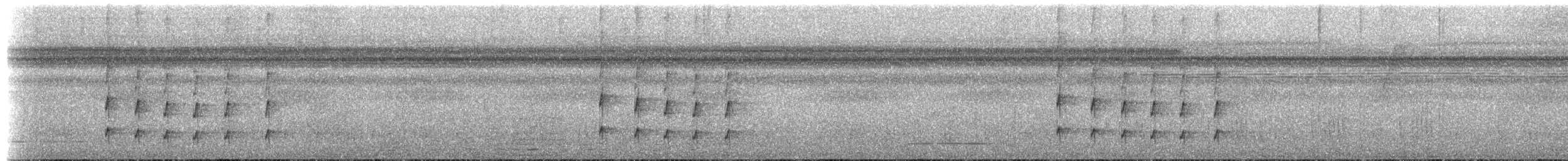 Microtyran eulophe - ML273772