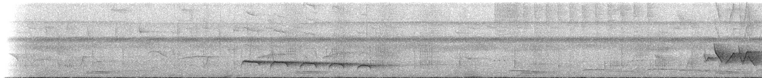 Lawrence's Thrush - ML273807