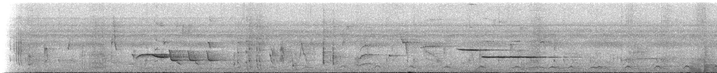 Lawrence's Thrush - ML273813