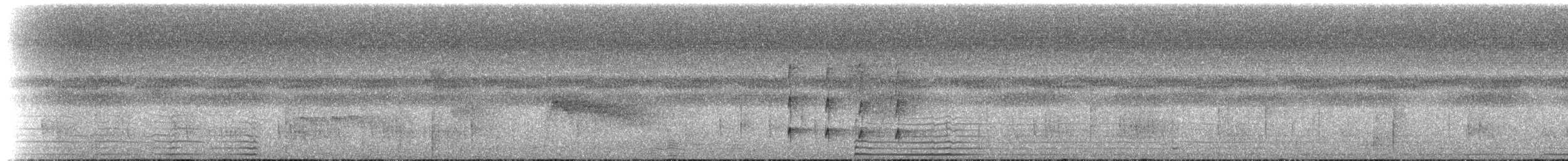 Microtyran eulophe - ML273847