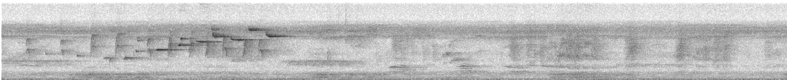 Gray Fantail (alisteri) - ML273860881