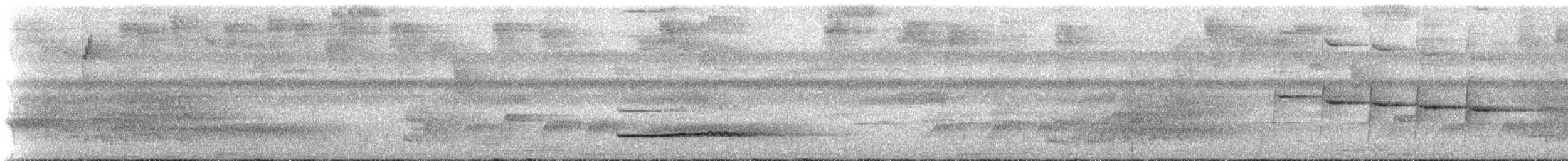 Lawrence's Thrush - ML273868