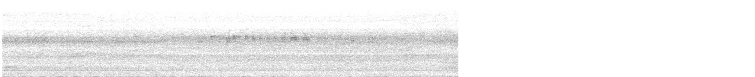 Weißflankenkolibri - ML273876441