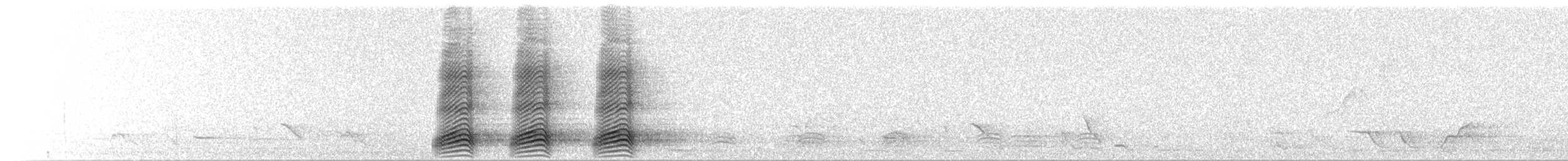 Torresian Crow - ML273879711