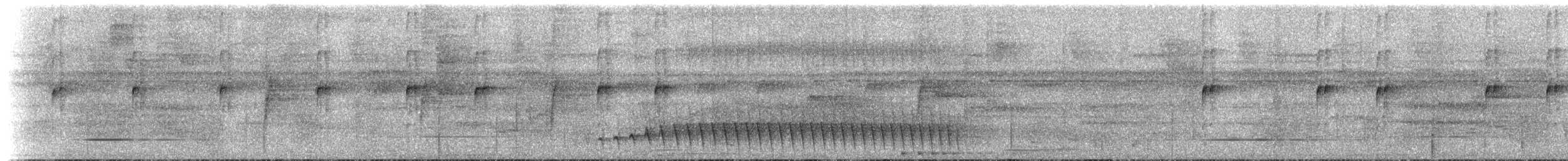Bleigrau-Ameisenvogel - ML273881
