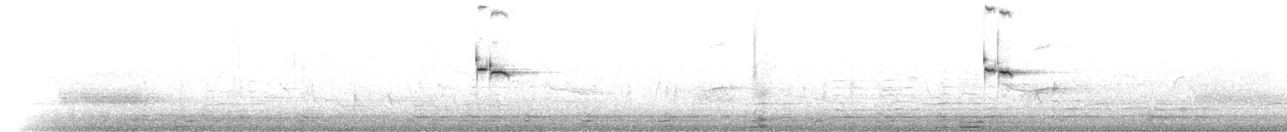 Al Kanatlı Karatavuk [phoeniceus grubu] - ML27389021
