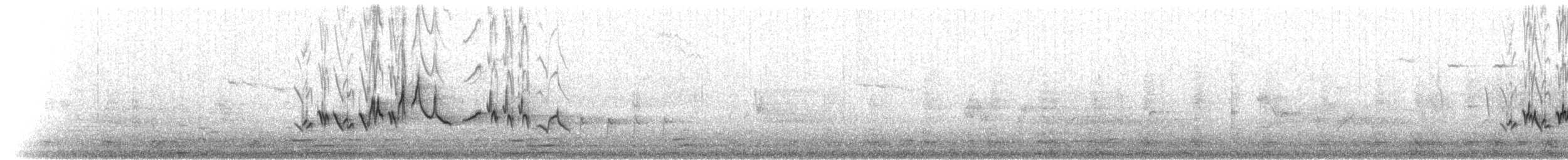 Amerika Çütresi (purpureus) - ML27389041