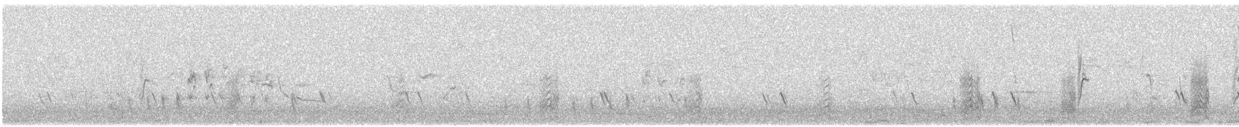 Үхэр хөгчүү - ML273899811