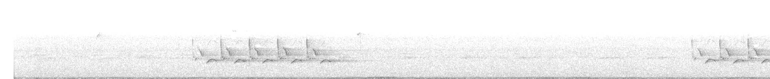 Каролинский крапивник - ML274004801