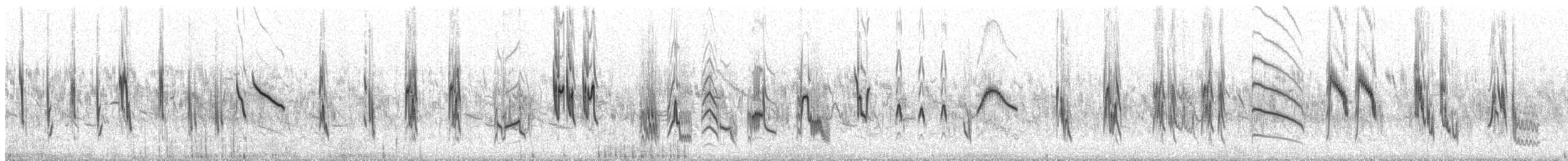 ヒメコウテンシ - ML274027