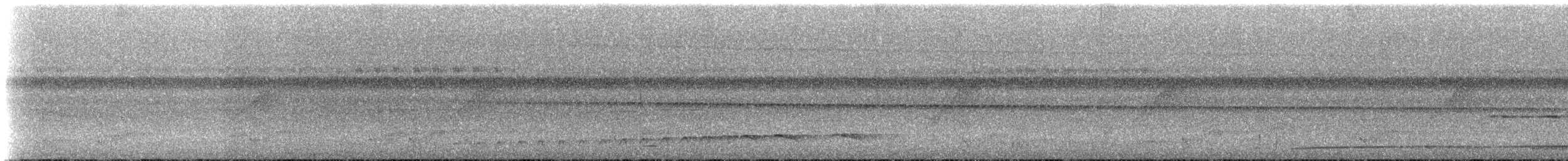 Tamatia brun - ML274190