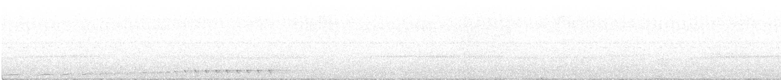 White-throated Nightjar - ML274200311
