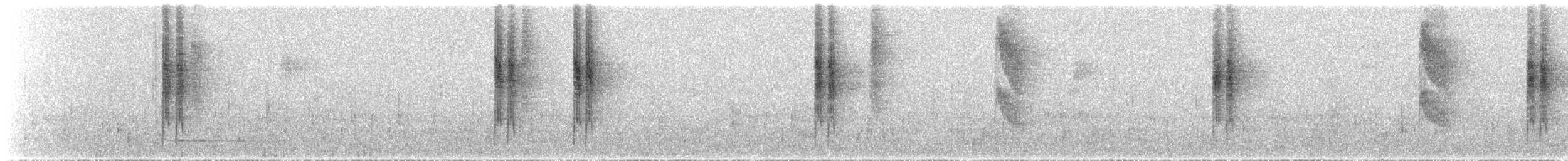 Star-throated Antwren - ML274230461