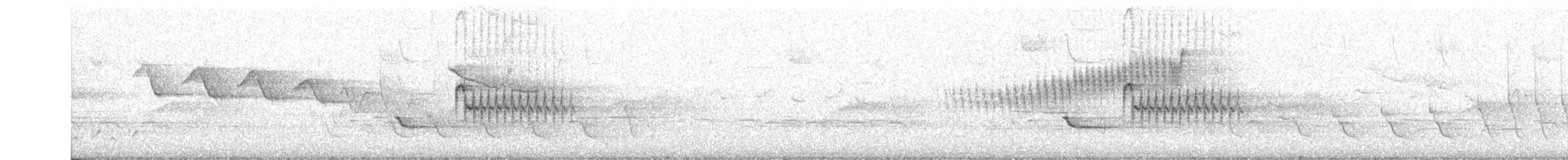 Tohi à flancs roux - ML27427971