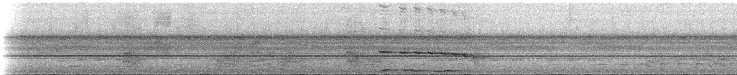 Kuzeyli Kestanerengi Karıncakuşu (hemimelaena) - ML274281