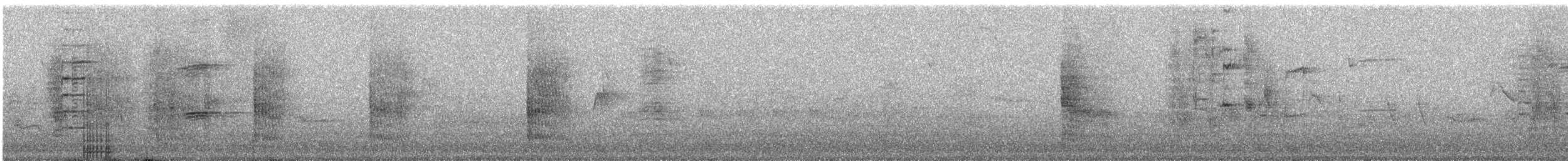 vlhovec lesklý (ssp. versicolor) - ML27432131