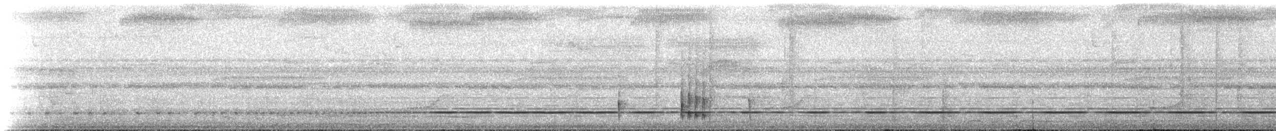 Rostzügel-Todityrann - ML274418