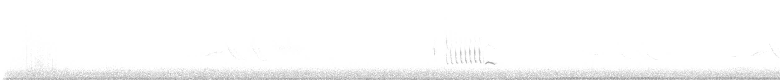 Southern House Wren - ML274431301