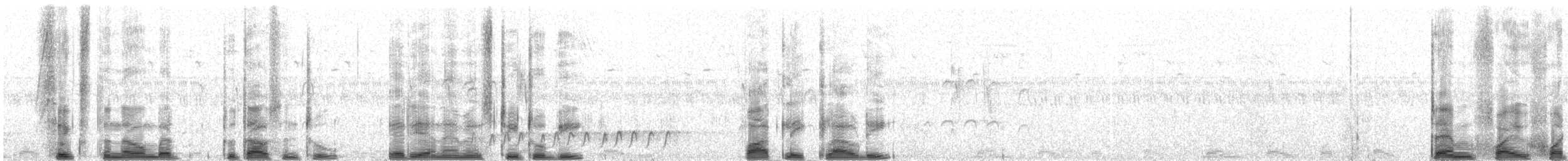 Courvite de Jerdon - ML274538