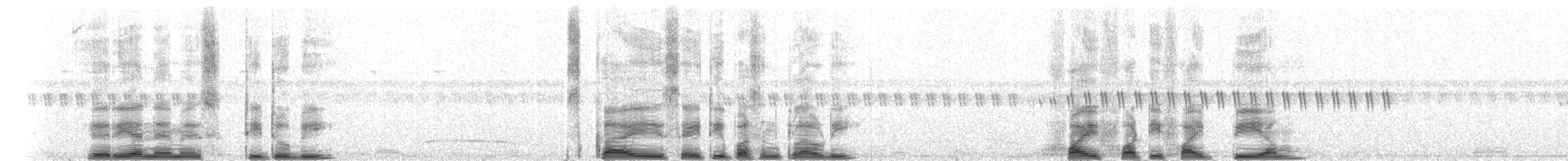 ruststrupeløper - ML274539