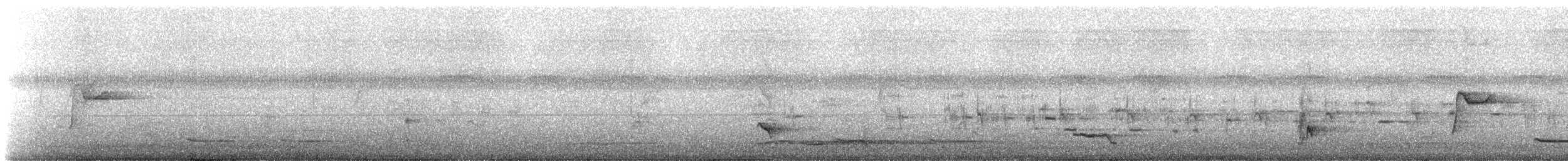 kulíšek tamaulipaský - ML274545