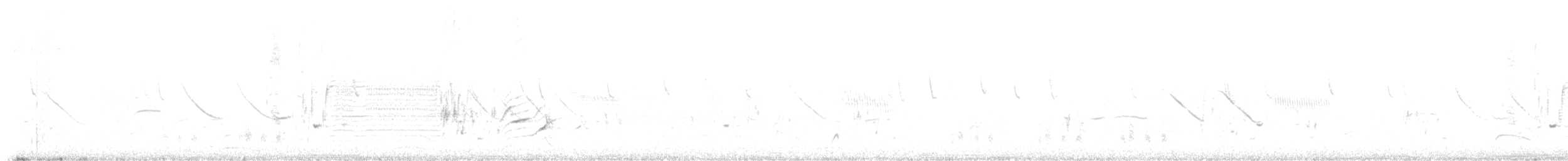 Печальная пизарита (fruticeti/peruviana) - ML274560991