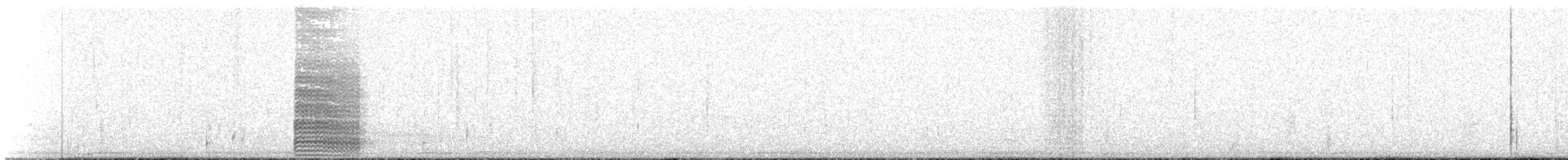 Brown Noddy - ML274571