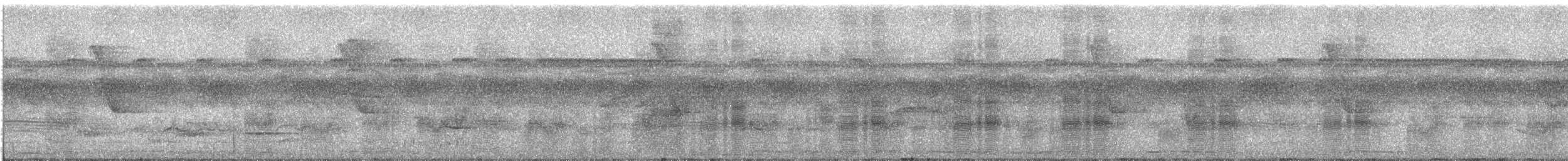 Masked Tityra - ML274590