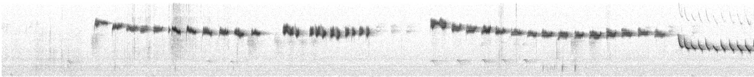 Синицевый шипоклюв - ML274613011