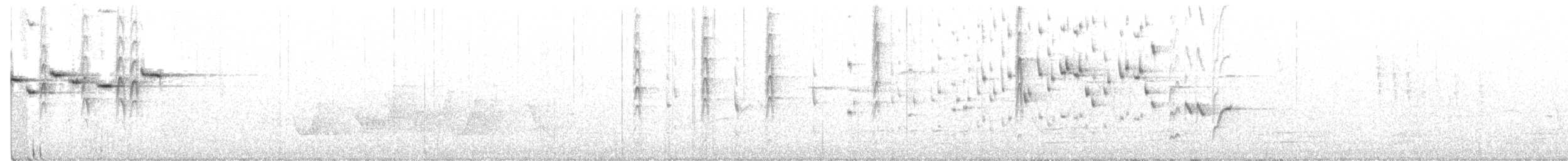 Gray Fantail (alisteri) - ML274621971
