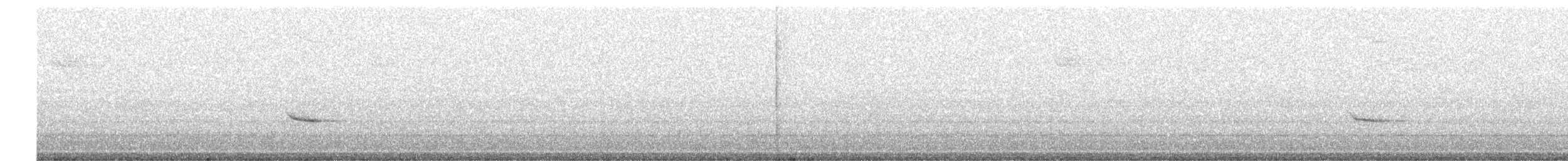 Дрізд-короткодзьоб плямистоволий - ML274625631
