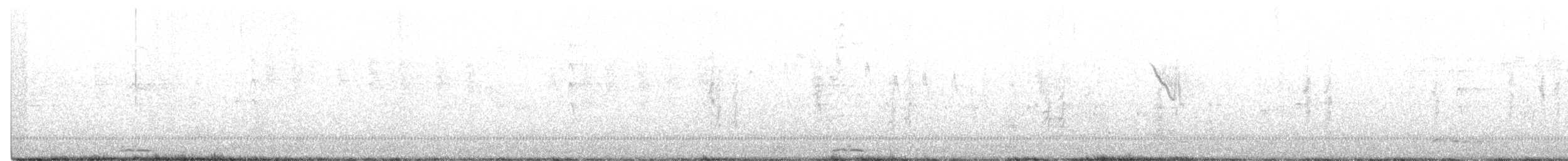 Тихоокеанский коэль (cyanocephalus/subcyanocephalus) - ML274631191