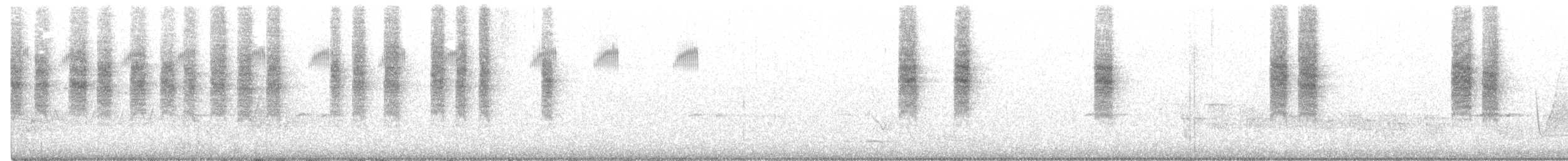 White-browed Scrubwren (White-browed) - ML274633751