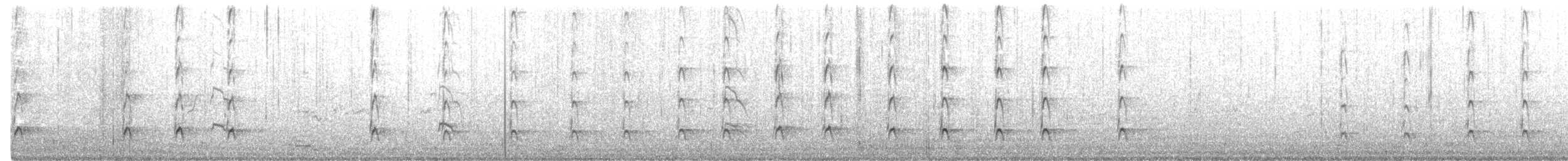 オーストラリアクロミヤコドリ - ML274634321