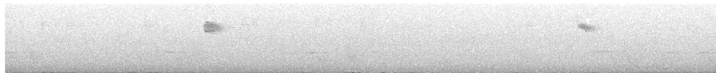 Tasmanerddrossel - ML274636241