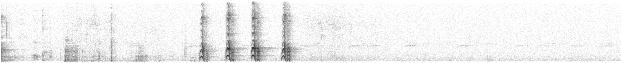 Western Screech-Owl - ML274646651