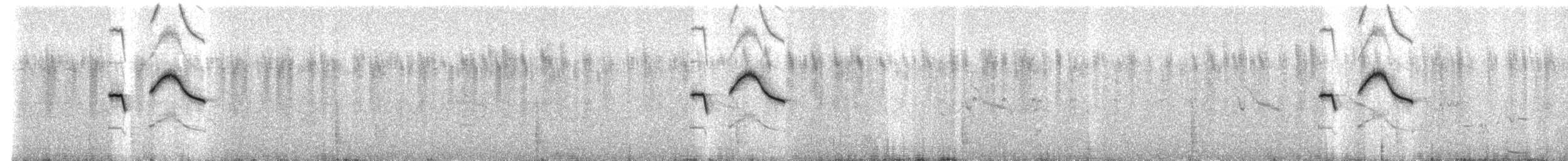 Kurzhaubenlerche (tropicalis) - ML274673