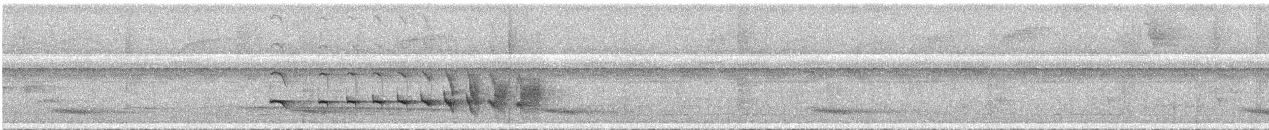Manicore Warbling-Antbird - ML274761591