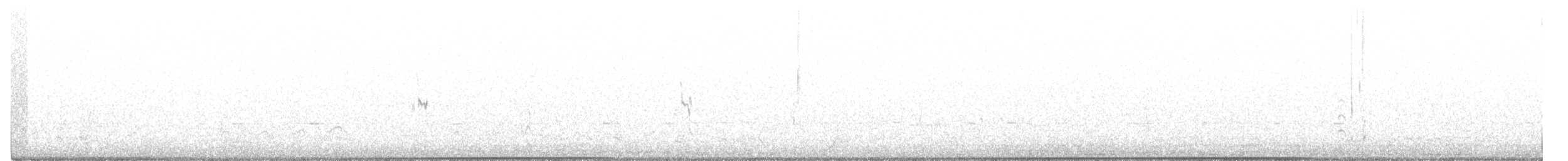 Red-necked Stint - ML274778261