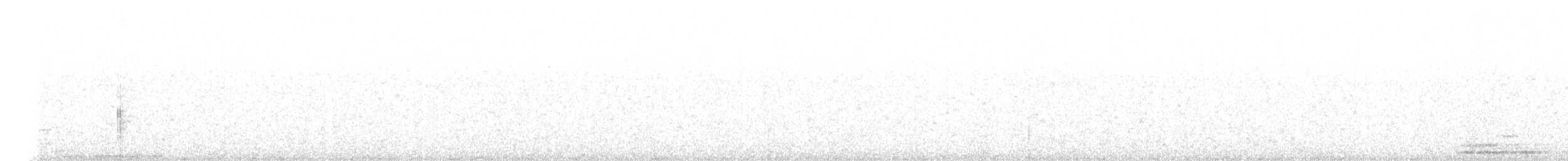 Large-tailed Antshrike - ML274806331