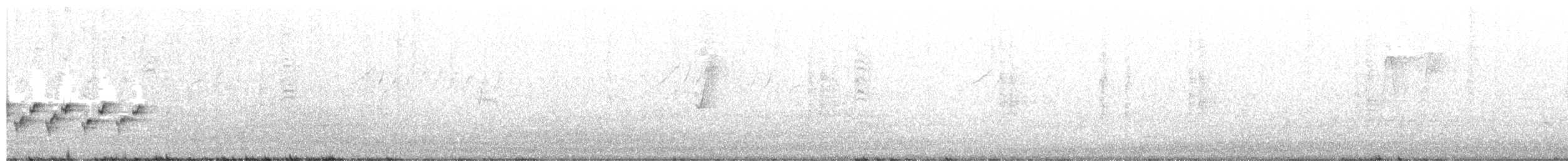 Australian Reed Warbler - ML274869561