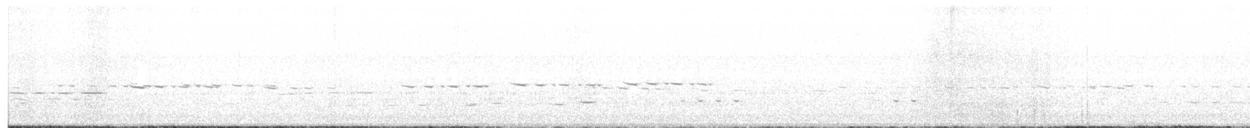 Perruche terrestre - ML274884321