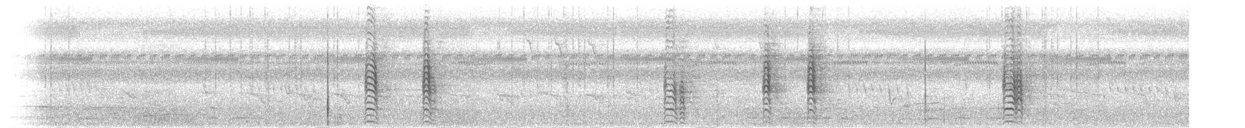 Visayan Hornbill - ML274903081