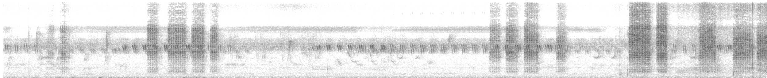 Long-tailed Shrike - ML274950801