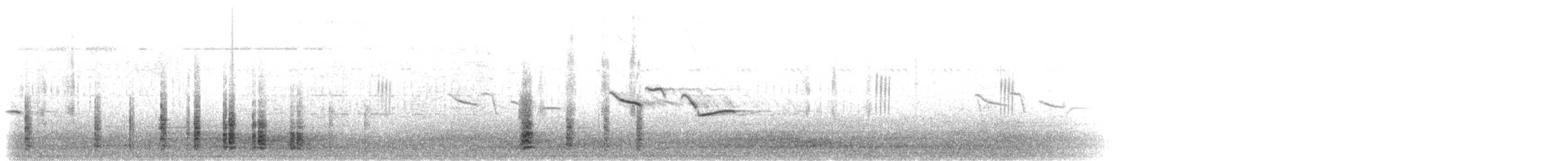 Белокрылый корхан - ML275015