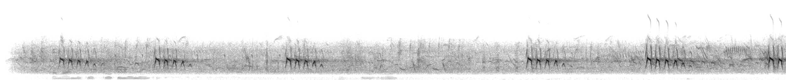 Светлобрюхий зимородок - ML275022