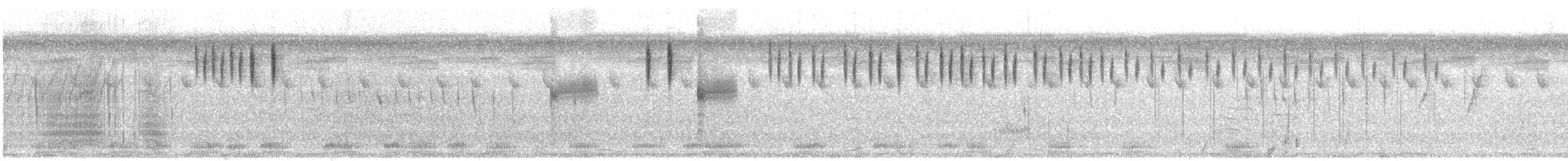 Вайдаг білокрилий - ML275065