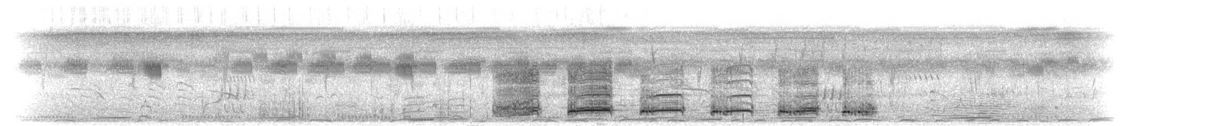 Francolín de Swainson - ML275068